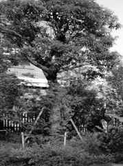 盱眙注册公司